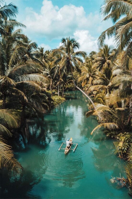 Tropical River
